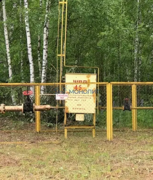 Участок в Нижегородская область, Сокольский муниципальный округ, д. ... - Фото 1