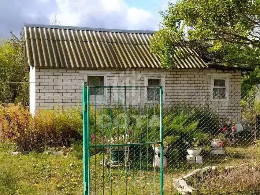 Купить Дачу В Рамонском Районе Озон