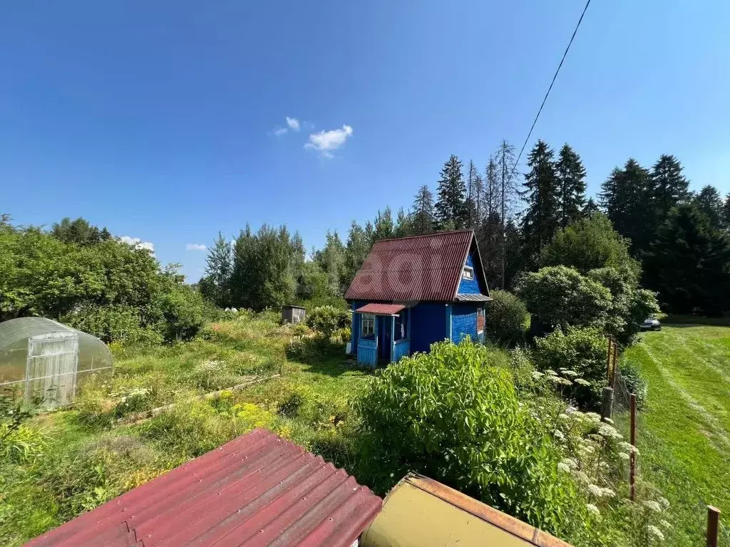 Дом в Вологодская область, Лиана садоводческое товарищество  (25 м) - Фото 1