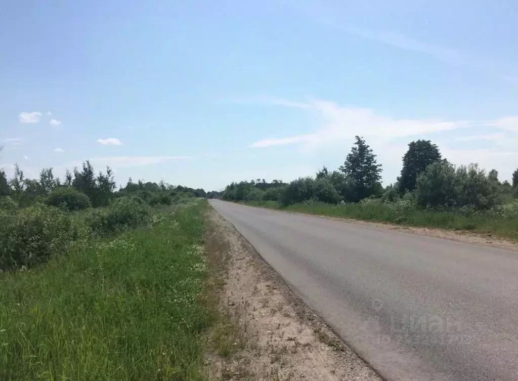 Участок в Новгородская область, Новгородский район, Савинское с/пос, ... - Фото 2
