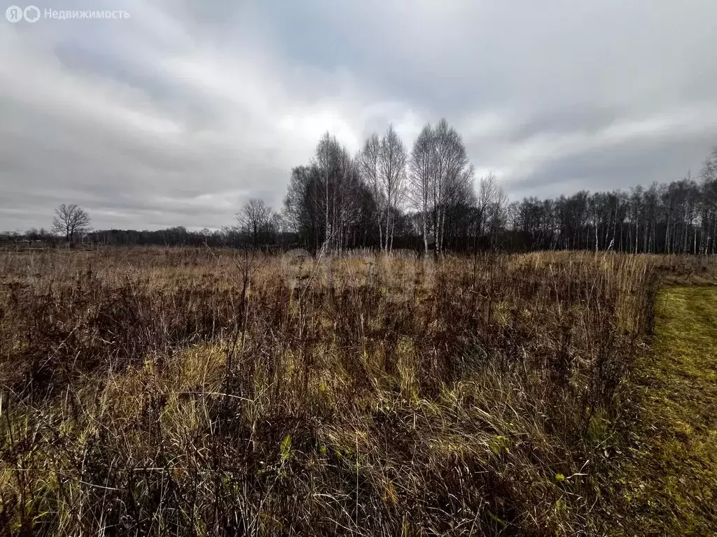 Участок в Можгинский район, деревня Ключи, Зелёная улица (16.5 м) - Фото 2