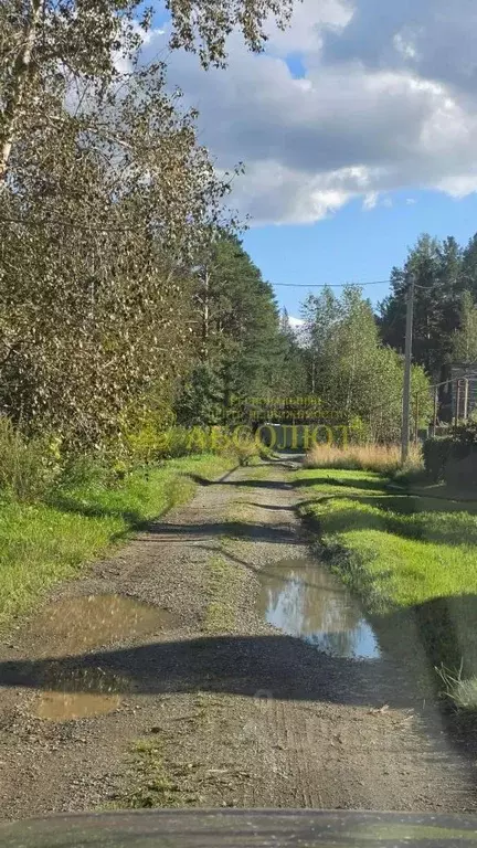 Участок в Свердловская область, Дегтярск Заречная ул., 23 (125.0 сот.) - Фото 1