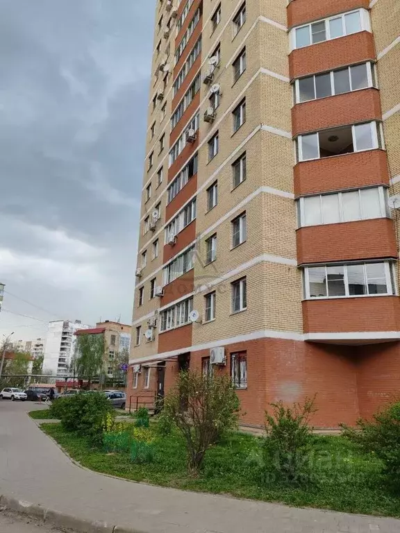 1-к кв. Московская область, Раменское Красноармейская ул., 23А (51.0 ... - Фото 2