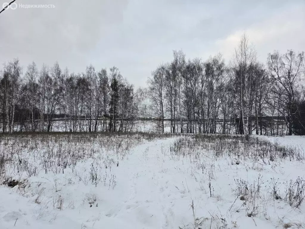 Участок в Раменский городской округ, коттеджный посёлок Опушкино-2 ... - Фото 0