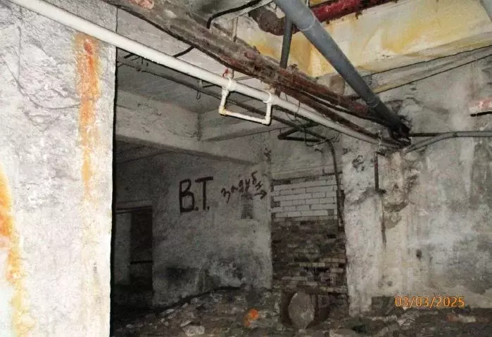 Помещение свободного назначения в Нижегородская область, Нижний ... - Фото 2
