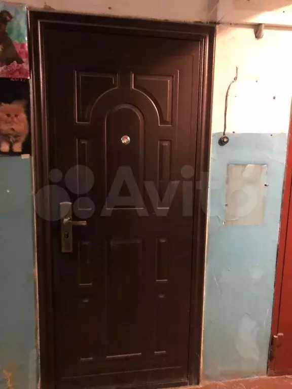 1-к. квартира, 31,4 м, 1/5 эт. - Фото 0