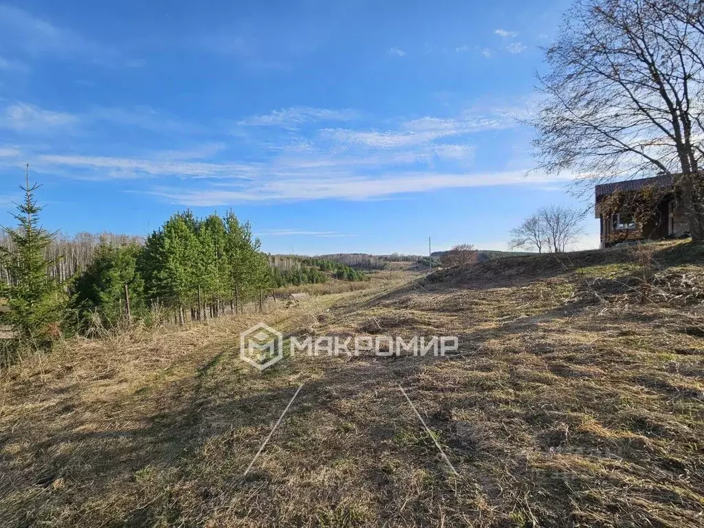 Участок в Пермский край, Кунгурский муниципальный округ, д. Комарово ... - Фото 1