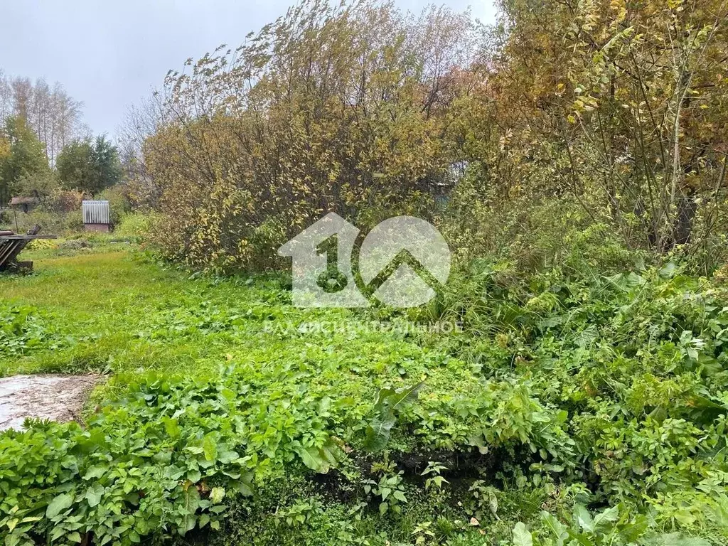 Участок в Новосибирская область, Мошковский район, Жилстроевец СНТ ... - Фото 0