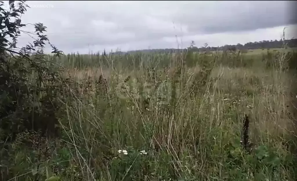 Дом в Ярковский район, деревня Берёзов Яр, Береговая улица (79 м) - Фото 1