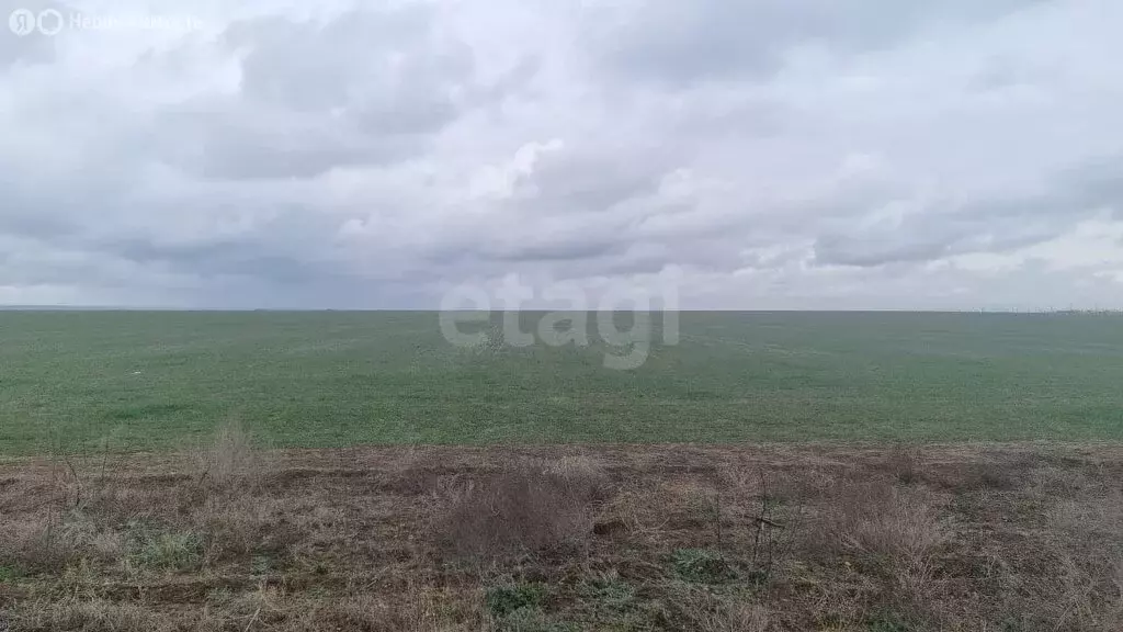 Участок в Сакский район, Штормовское сельское поселение, садоводческое ... - Фото 1