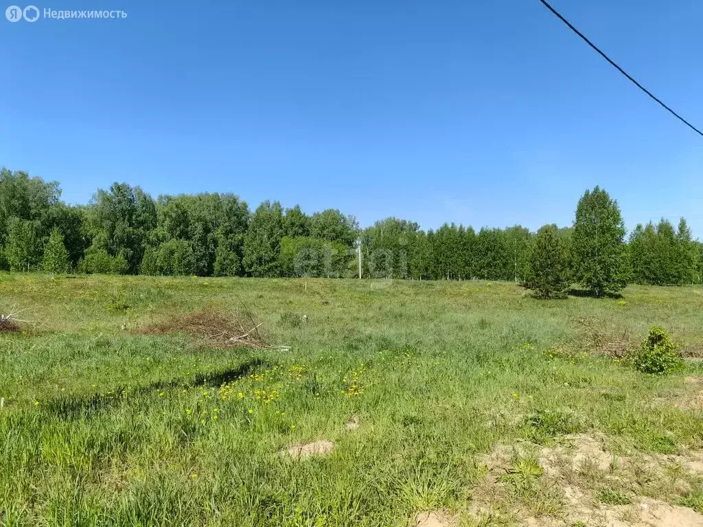 Участок в Станционный сельсовет, ДНТ Ратник, проспект Маршала Жукова ... - Фото 2