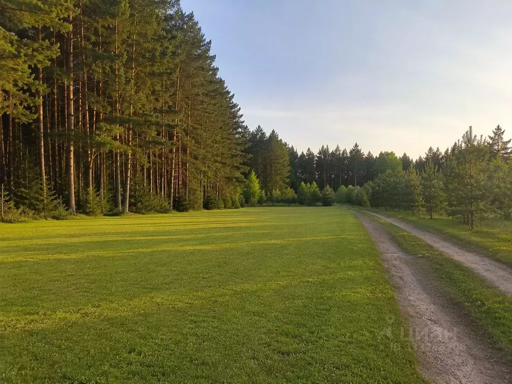 Участок в Московская область, Клин городской округ, д. Матвеево  (26.0 ... - Фото 1