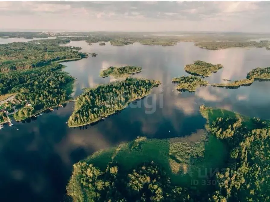 Участок в Ленинградская область, Приозерский район, Ларионовское ... - Фото 1