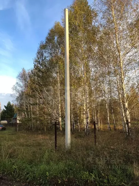 Участок в Курганская область, Кетовский муниципальный округ, д. Лукино ... - Фото 1