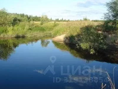 Участок в Новгородская область, Старорусский район, Ивановское с/пос, ... - Фото 0