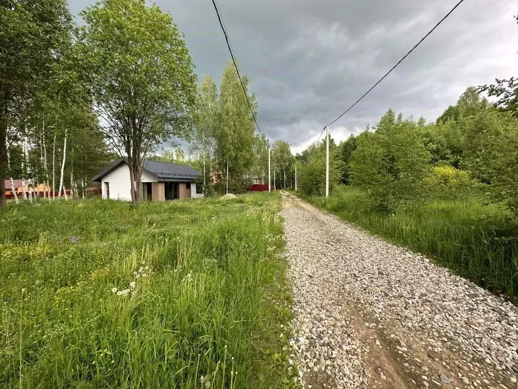 Участок в Тверская область, Старицкий муниципальный округ, д. Кошево  ... - Фото 1