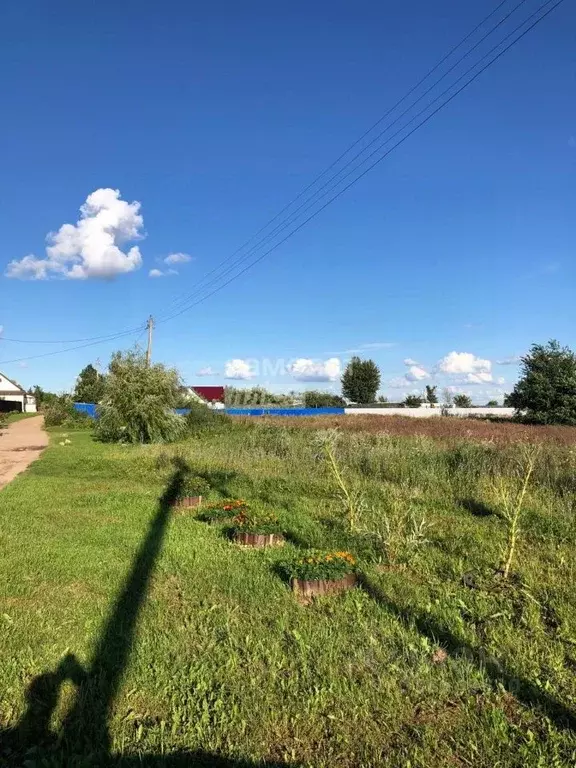 Участок в Калужская область, Перемышльский район, Гремячево с/пос, с. ... - Фото 2