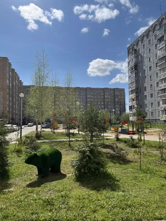2-к кв. Коми, Сыктывкар просп. Бумажников, 50 (52.5 м) - Фото 1