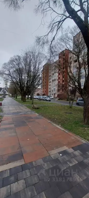 Квартира, свободная планировка, 61.5 м - Фото 0