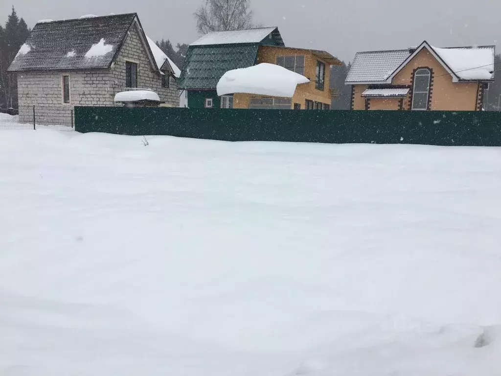 Участок в Московская область, Пушкинский городской округ, с. Ельдигино ... - Фото 2