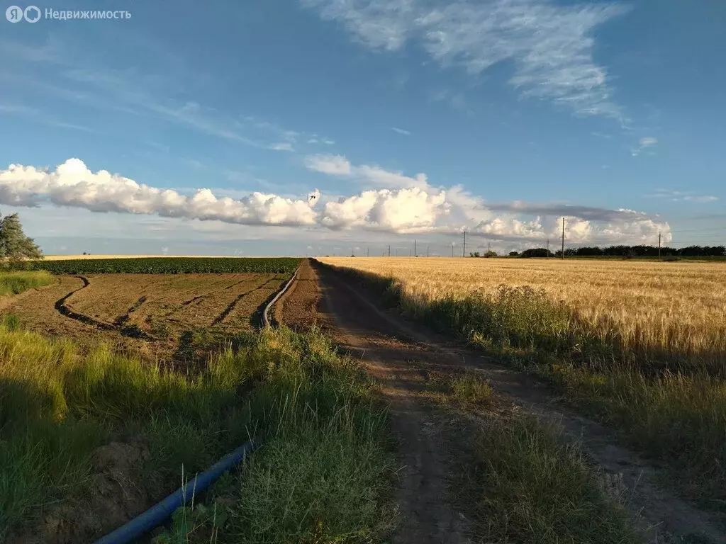 Участок в Красноперекопский район, Вишнёвское сельское поселение, село ... - Фото 0