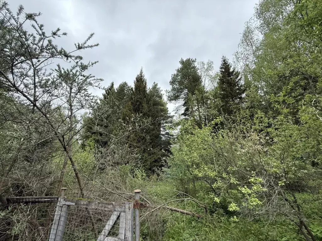 Участок в Московская область, Одинцовский городской округ, пос. НИИ ... - Фото 0