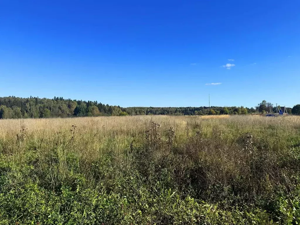 Участок в Московская область, Домодедово городской округ, пос. ... - Фото 2