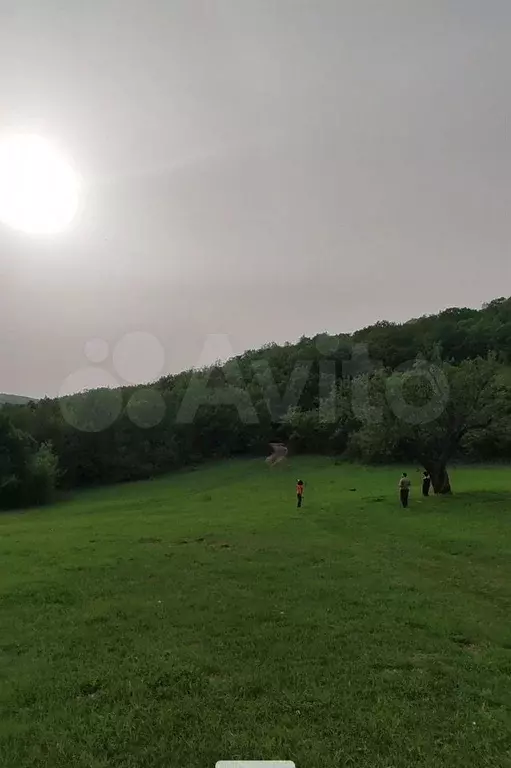 Участок 100 сот. (СНТ, ДНП) - Фото 1