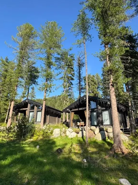 Дом в Алтай, Турочакский район, с. Артыбаш пер. Еловый, 11 (40 м) - Фото 1