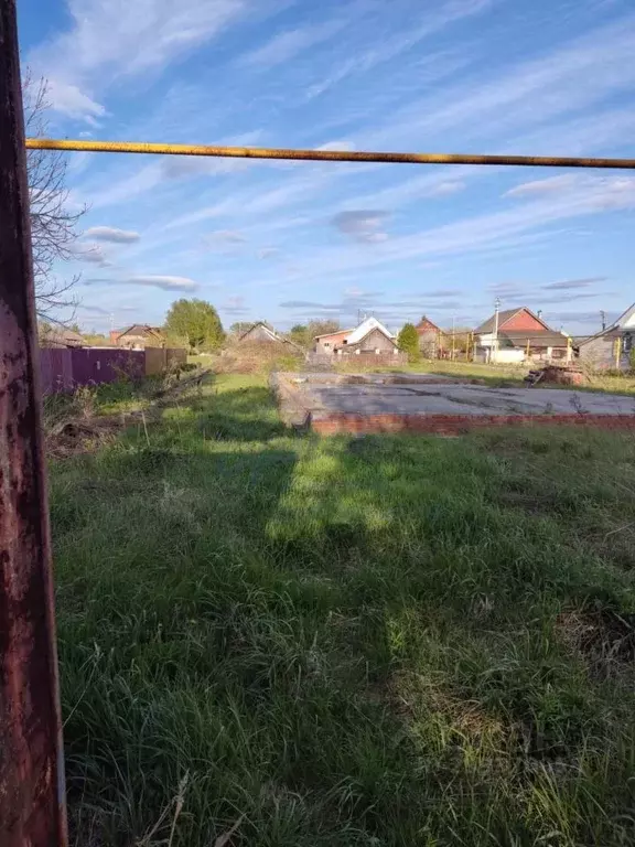 Участок в Нижегородская область, Бор городской округ, д. Каликино ул. ... - Фото 0