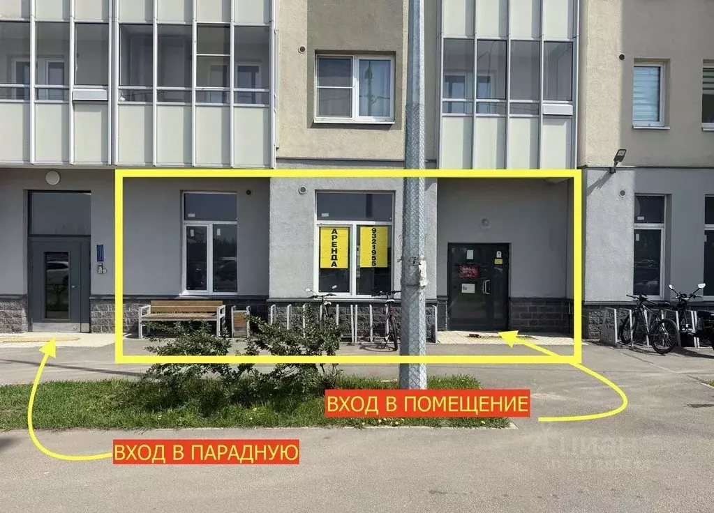 Помещение свободного назначения в Санкт-Петербург ул. Чарушинская, ... - Фото 1