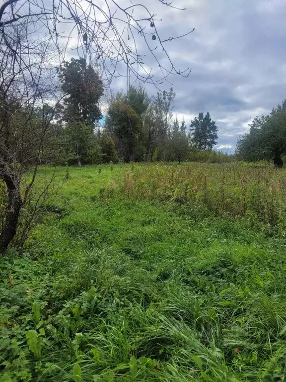Участок в Псковская область, Гдов городское поселение, д. Задубье  ... - Фото 2