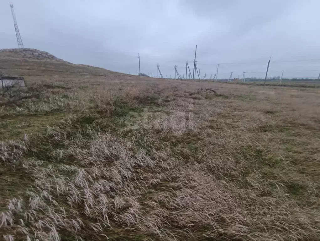 Участок в Крым, Ленинский район, Мысовское с/пос, Вишня-96 ... - Фото 0