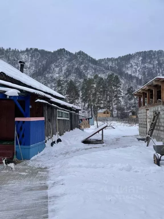 Дом в Алтай, Чемальский район, с. Чепош ул. Кучияк (70 м) - Фото 1