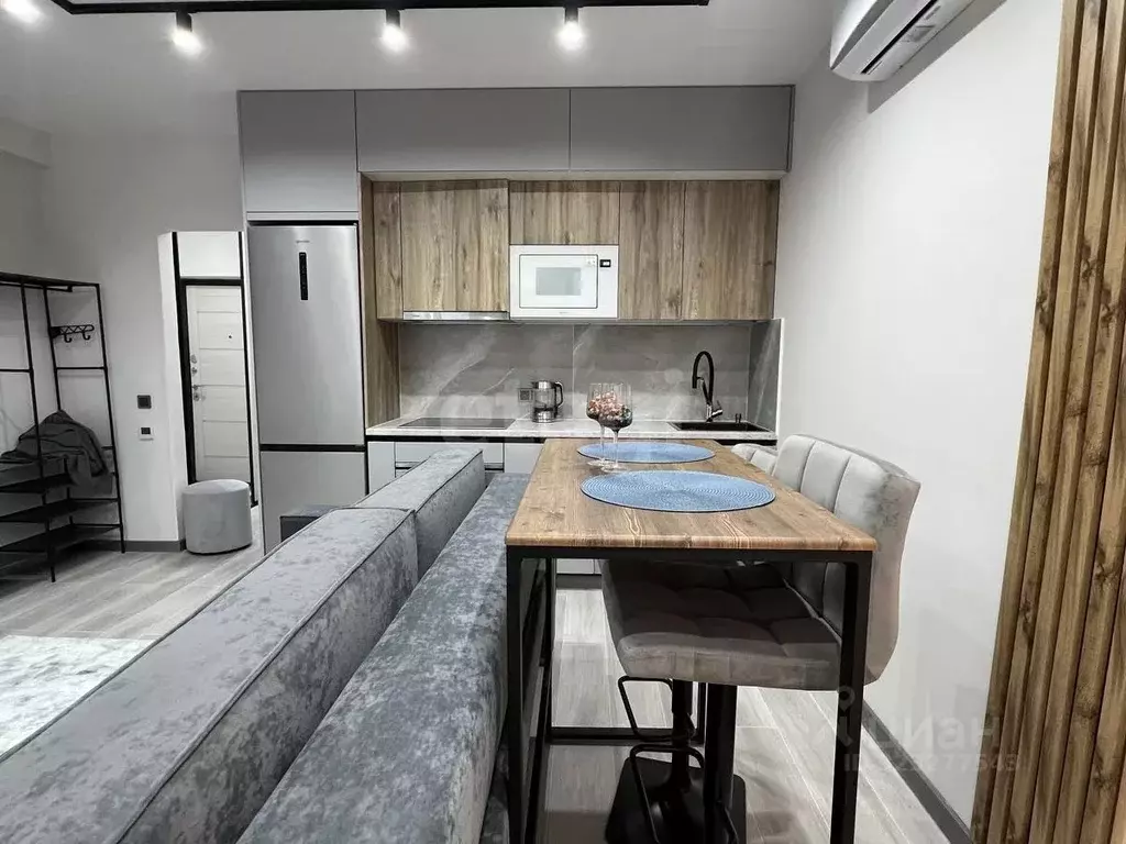 Студия Ямало-Ненецкий АО, Новый Уренгой Энтузиастов мкр, 9 (26.1 м) - Фото 2