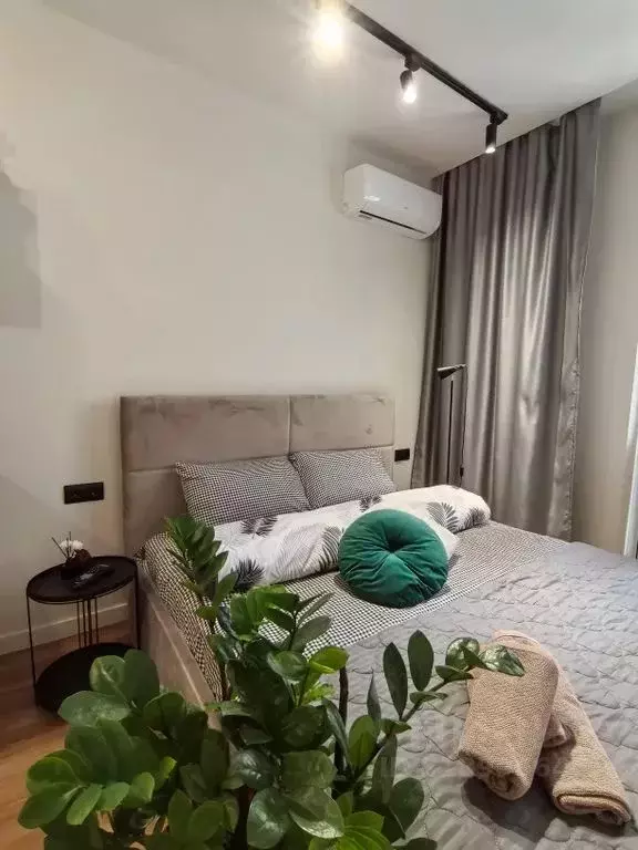 Студия Краснодарский край, Краснодар Тепличная ул., 62/1к3 (26.0 м) - Фото 1