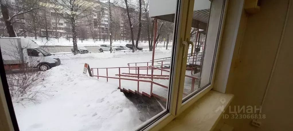 Помещение свободного назначения в Пермский край, Пермь ул. Космонавта ... - Фото 2