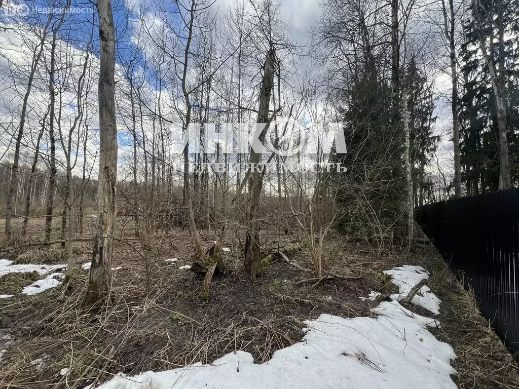 Участок в Московская область, городской округ Мытищи, деревня ... - Фото 1