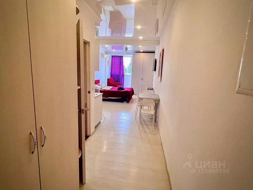 Студия Краснодарский край, Сочи Виноградная ул., 22/1А (27.6 м) - Фото 1