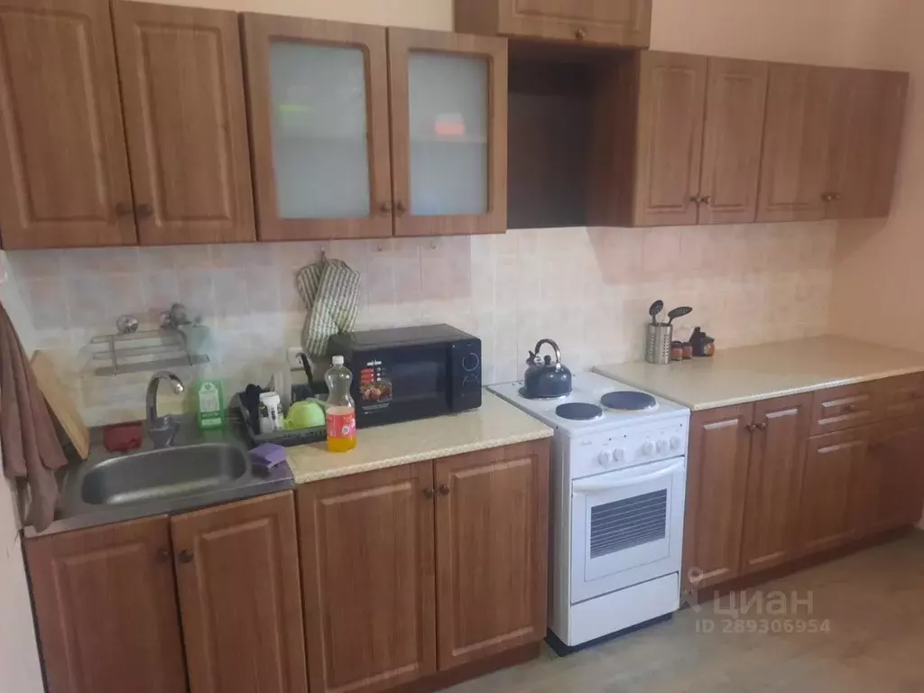 1-к кв. Московская область, Пушкино ул. Тургенева, 13 (45.0 м) - Фото 1