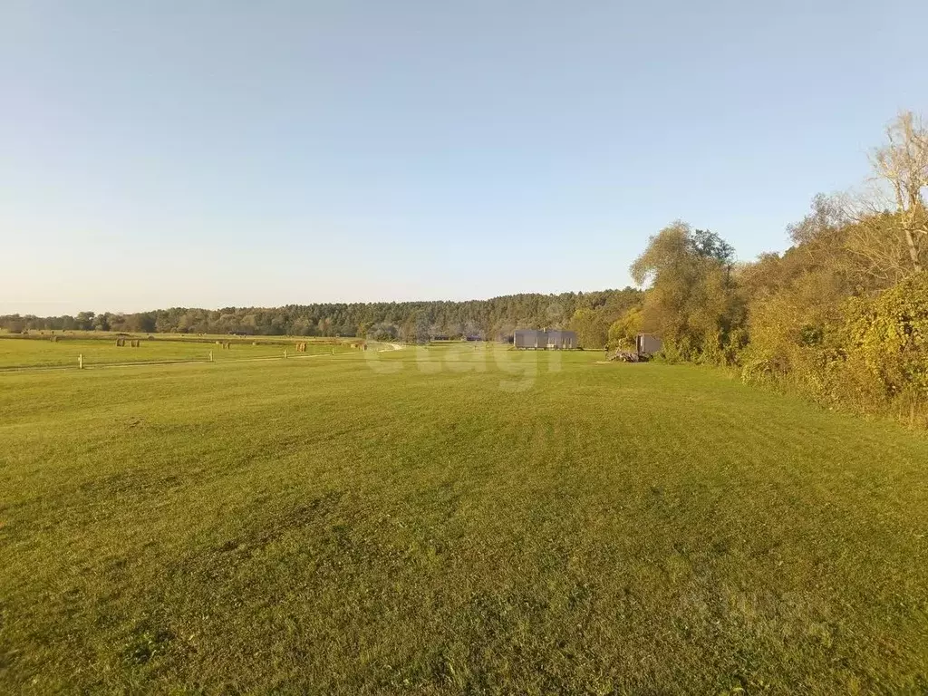 Участок в Калужская область, Жуковский район, Тростье с/пос, с. ... - Фото 2