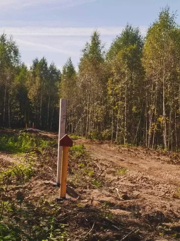 Участок в Владимирская область, Александровский район, Андреевское ... - Фото 0