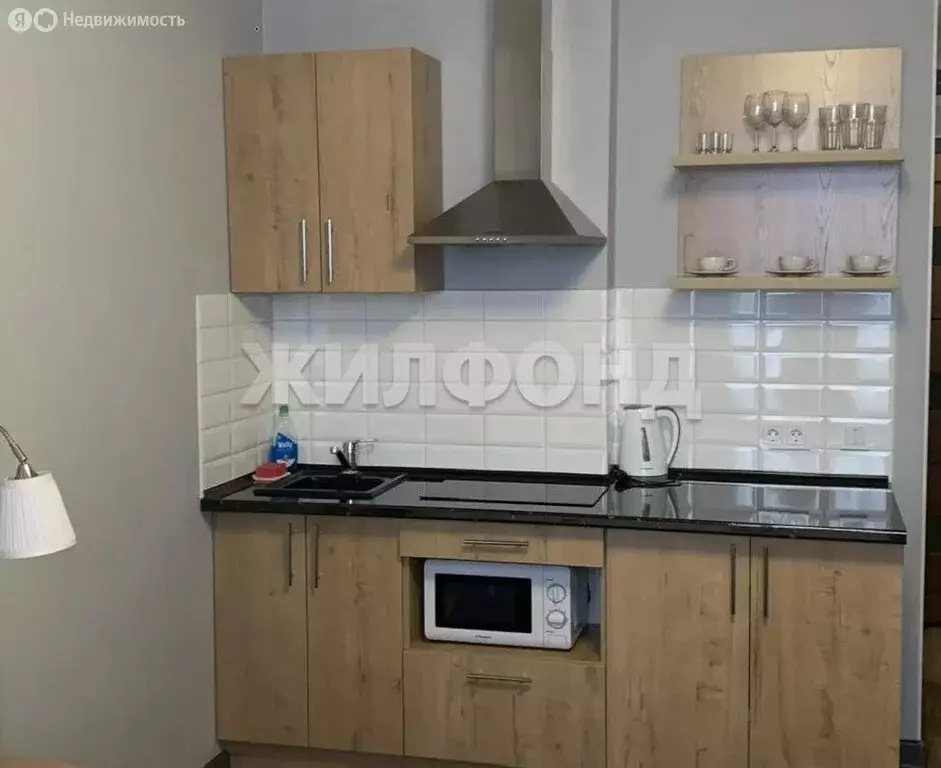 Квартира-студия: Новосибирск, Железнодорожный район, Железнодорожная ... - Фото 2