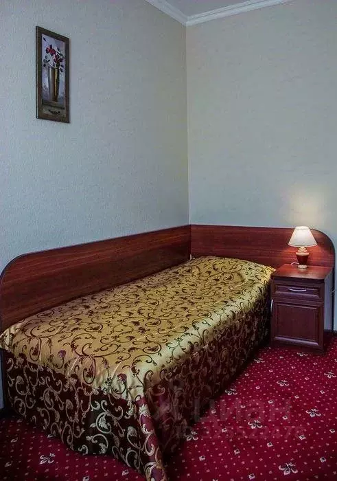 Комната Белгородская область, Старый Оскол Лесной мкр, 3 (19.0 м) - Фото 2