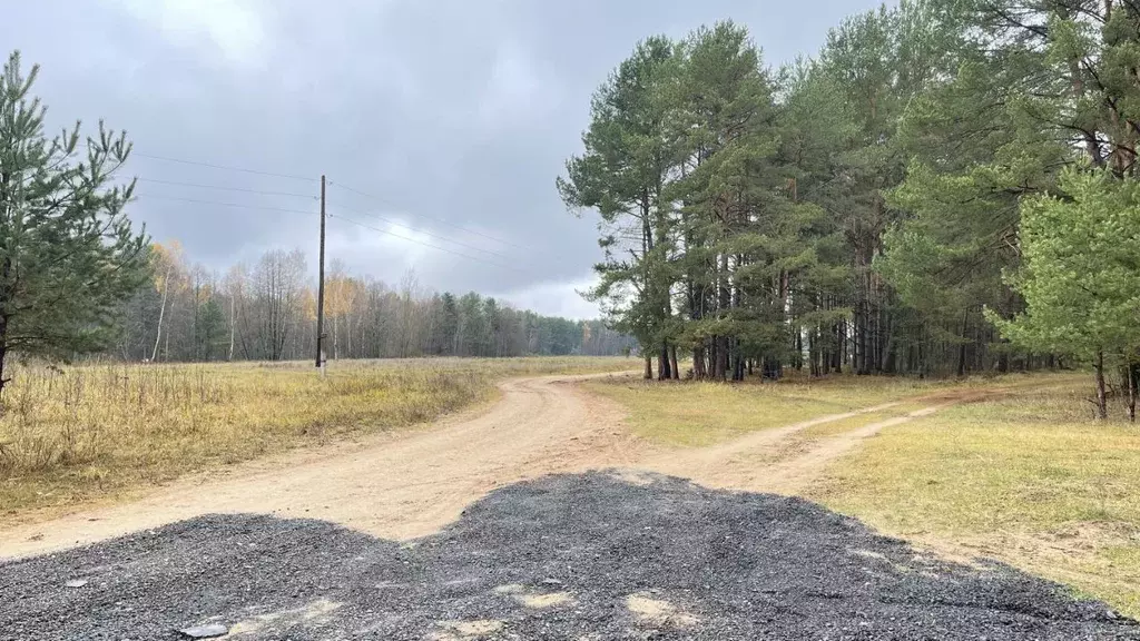 Участок в Тверская область, Конаковский муниципальный округ, пос. ... - Фото 2