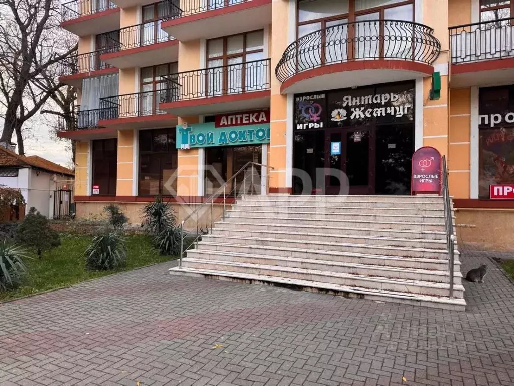 Помещение свободного назначения в Краснодарский край, Геленджик ... - Фото 1