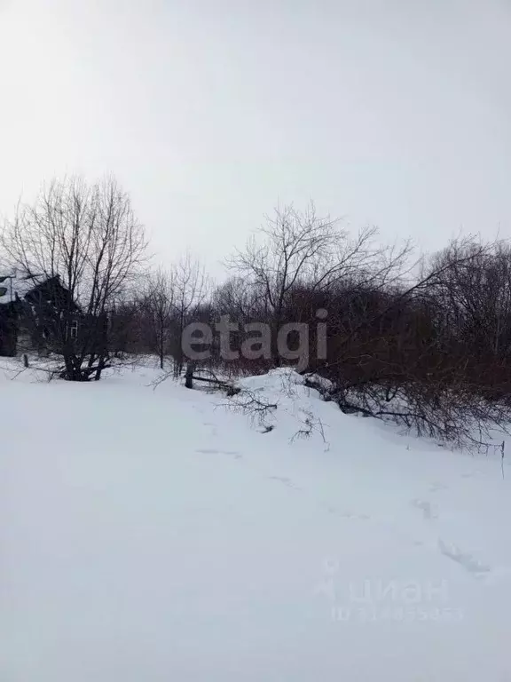Участок в Алтайский край, Алтайский район, с. Нижнекаменка Сибирский ... - Фото 1