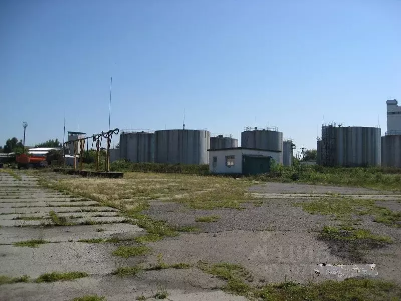 Производственное помещение в Курганская область, Далматово ул. ... - Фото 0