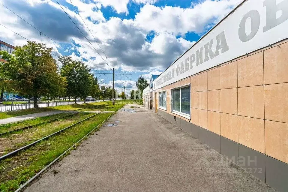 Торговая площадь в Ульяновская область, Ульяновск просп. Гая, 100 (168 ... - Фото 2