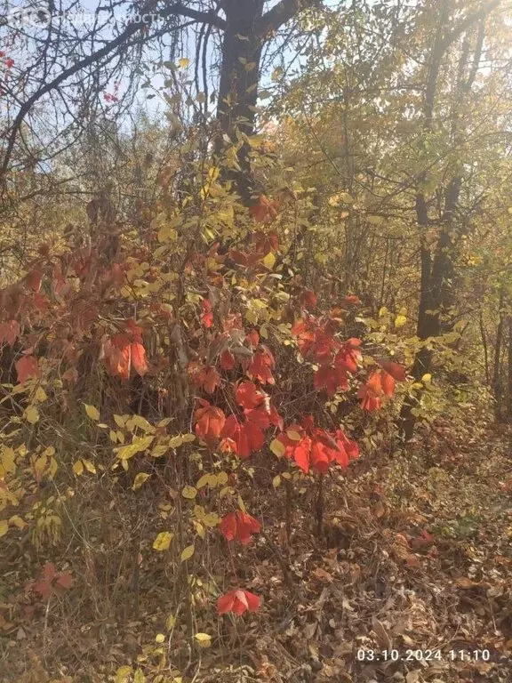 Дом в Пенза, Октябрьский район, микрорайон Каланча (20 м) - Фото 1